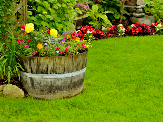 How to Plant Flowers in a Barrel Planter